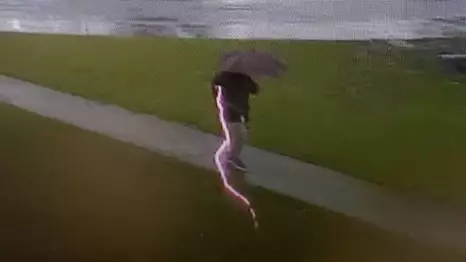 Moment Man's Umbrella Is Hit By Lightning And Knocked From His Grasp