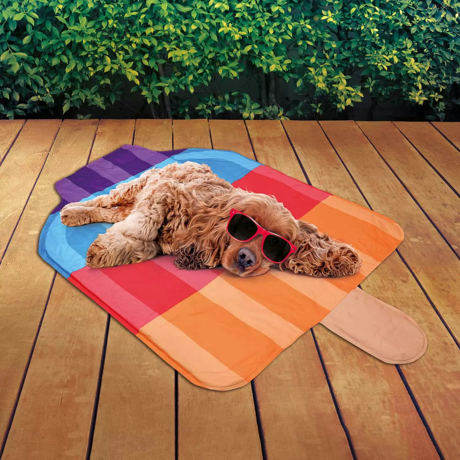 B&M's cooling mats could help keep the dogs cool (