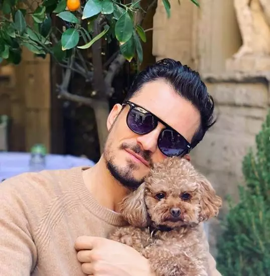 The actor says he is heartbroken after his pet pooch went missing.