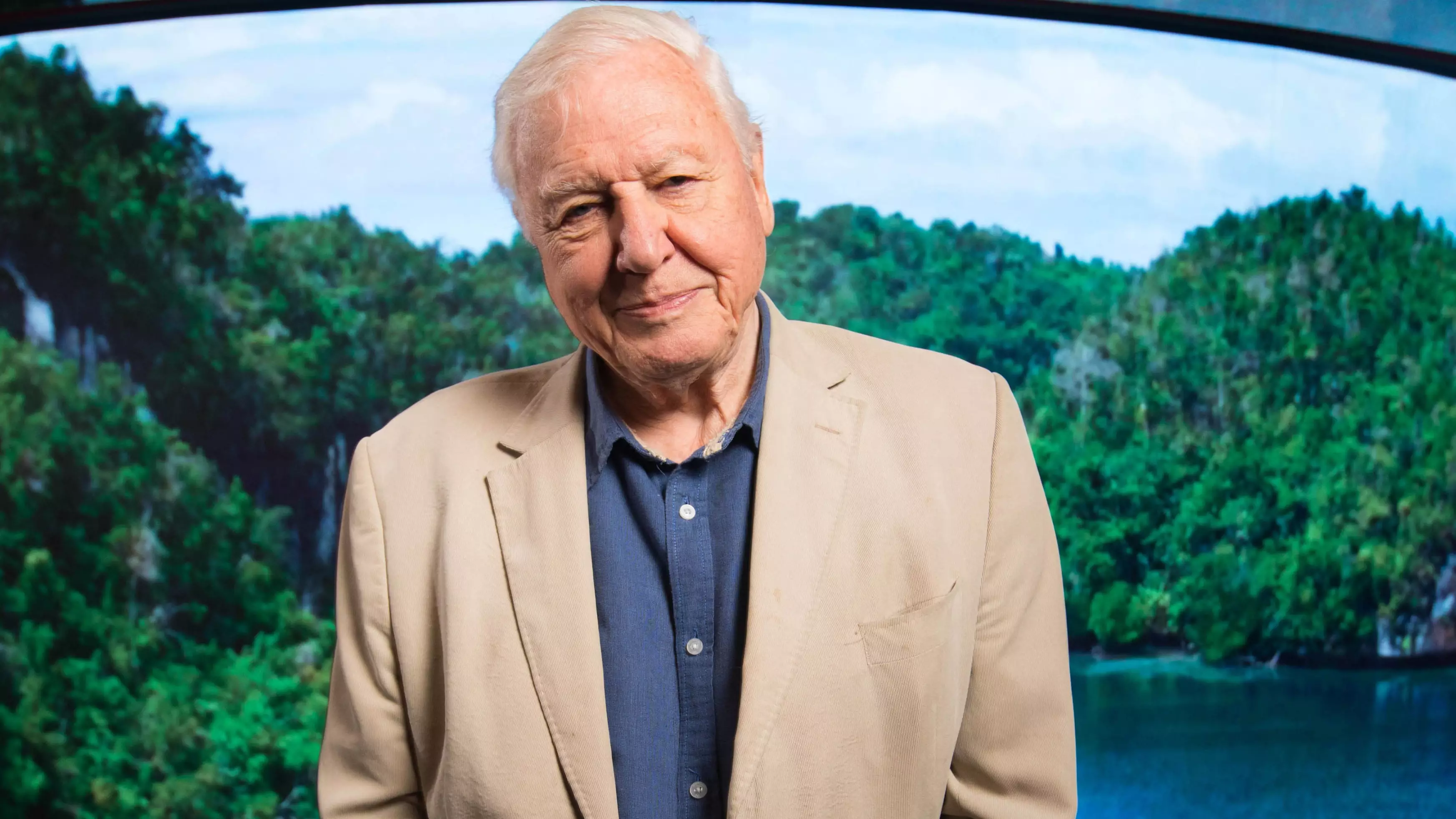 Sir David Attenborough Says He Won't Be Back On Instagram 