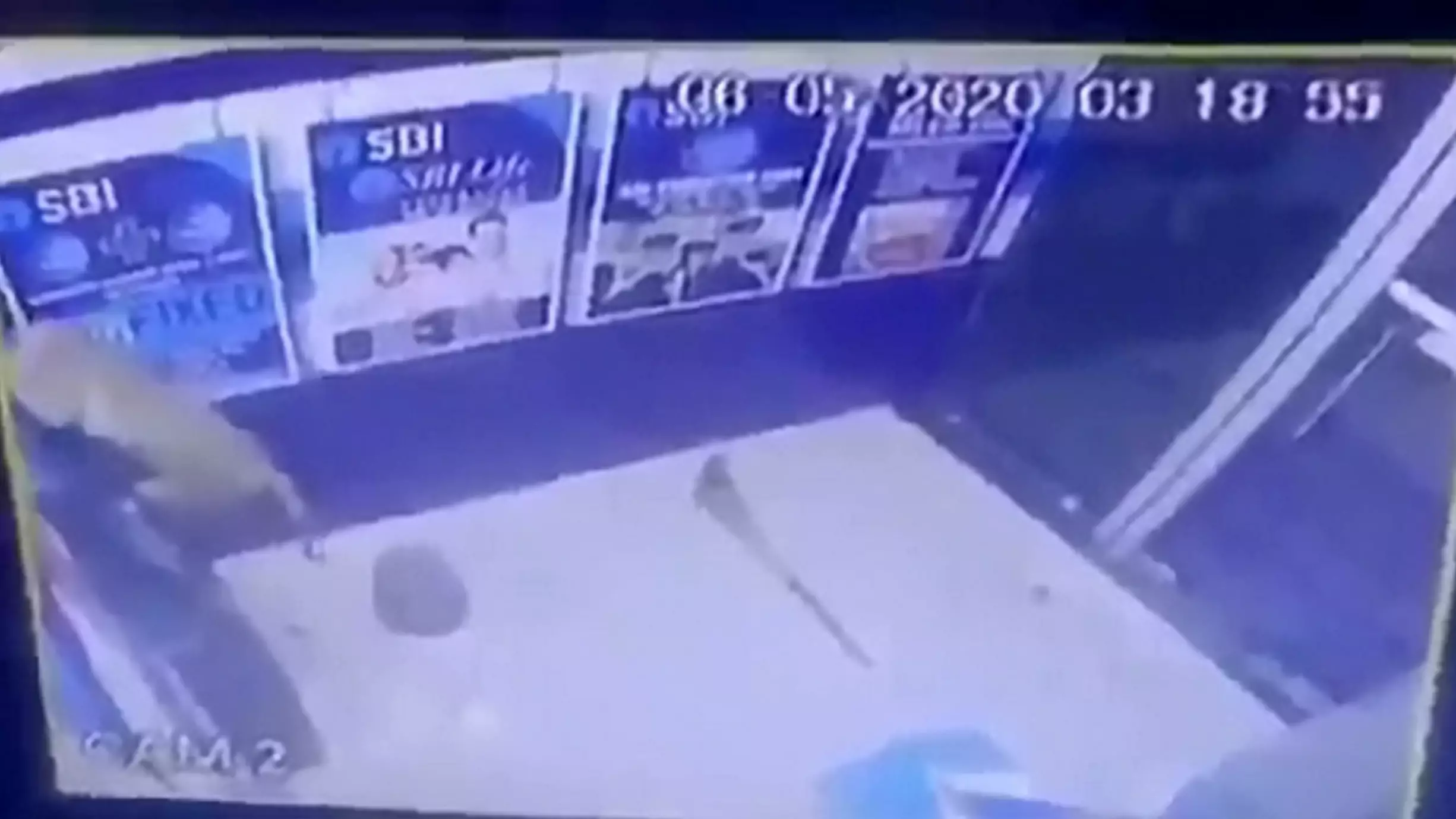 CCTV Reveals Suspected Bank Robbery Actually Monkey Smashing The ATM