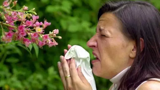 Hay Fever Sufferers Claim Vaseline Is A Miracle 'Cure'
