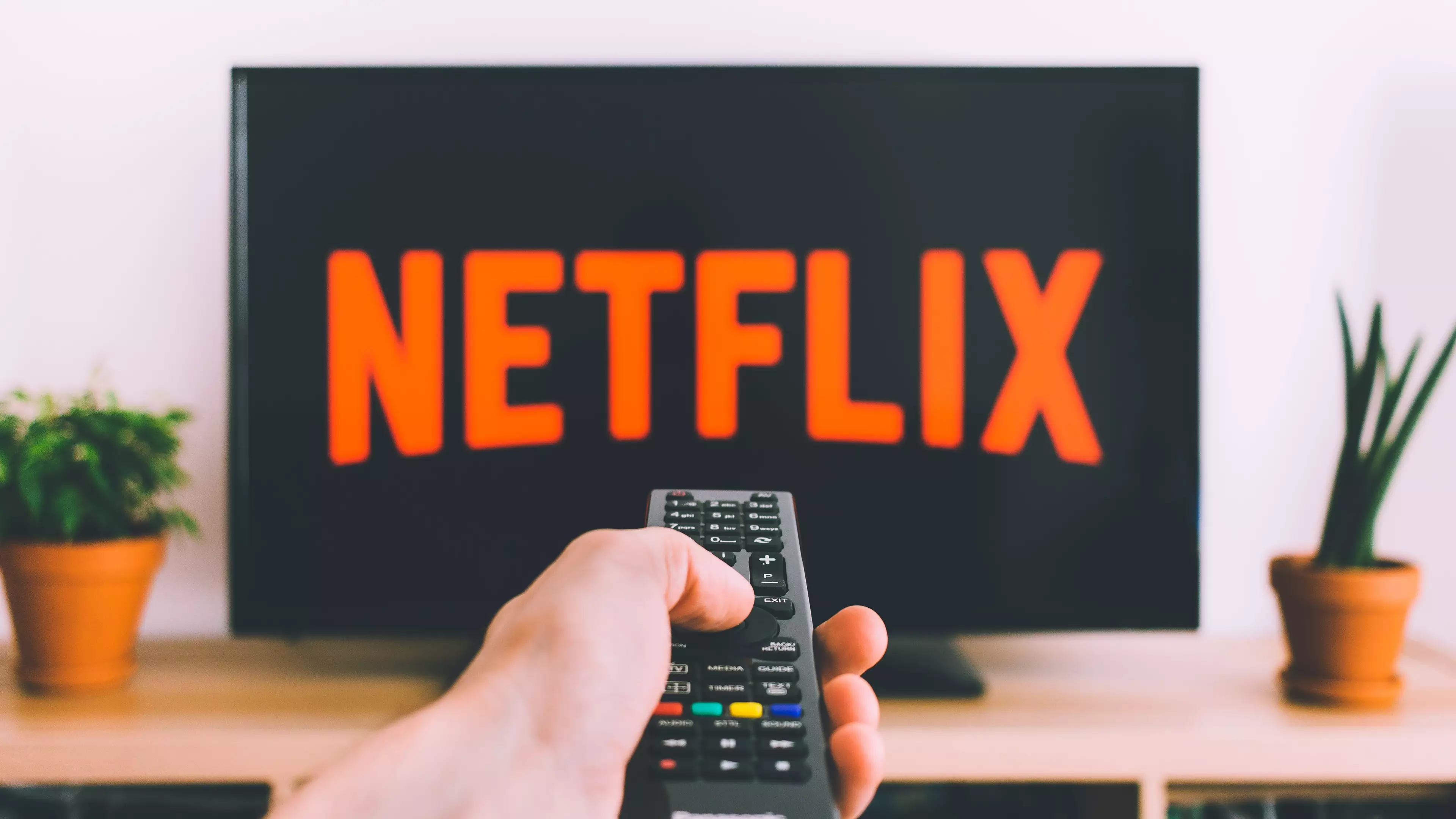 Netflix Is Cracking Down On Leeches Who Use Other People's Passwords