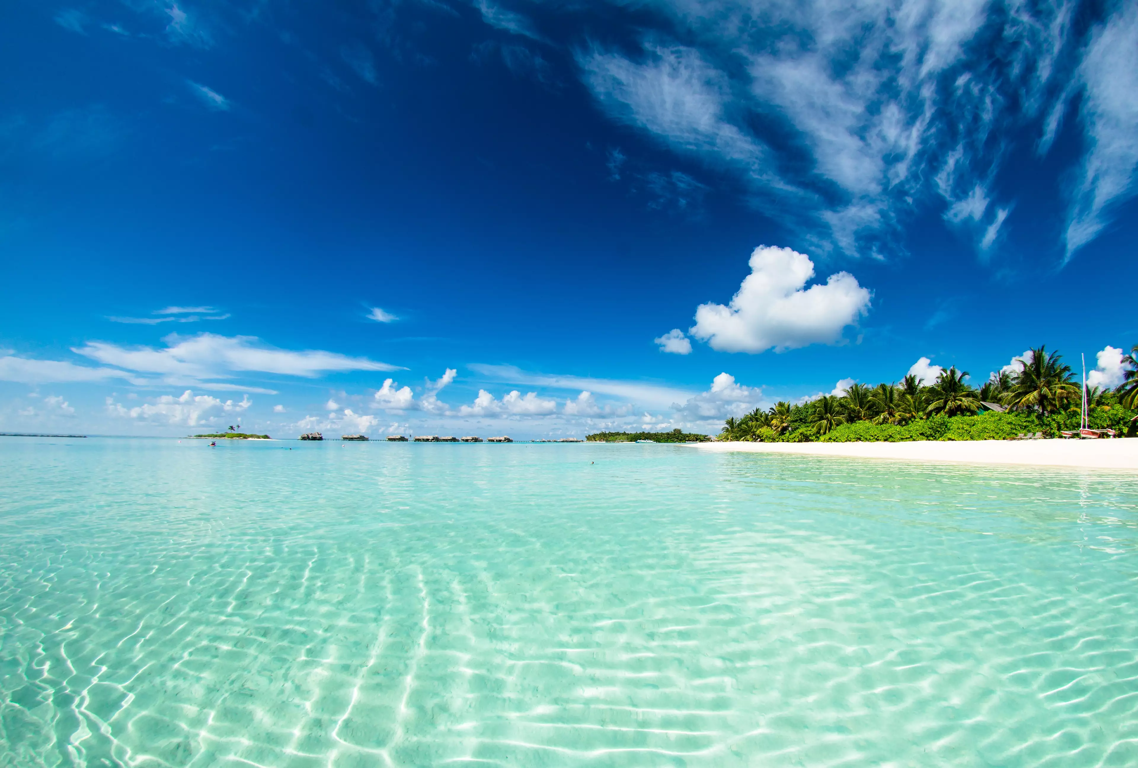 Fancy a trip to the Maldives? (