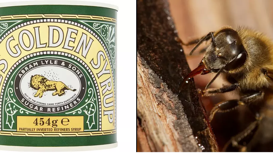 Lyle's Golden Syrup Lovers Are Horrified To Notice 'Dark' Detail On Tin