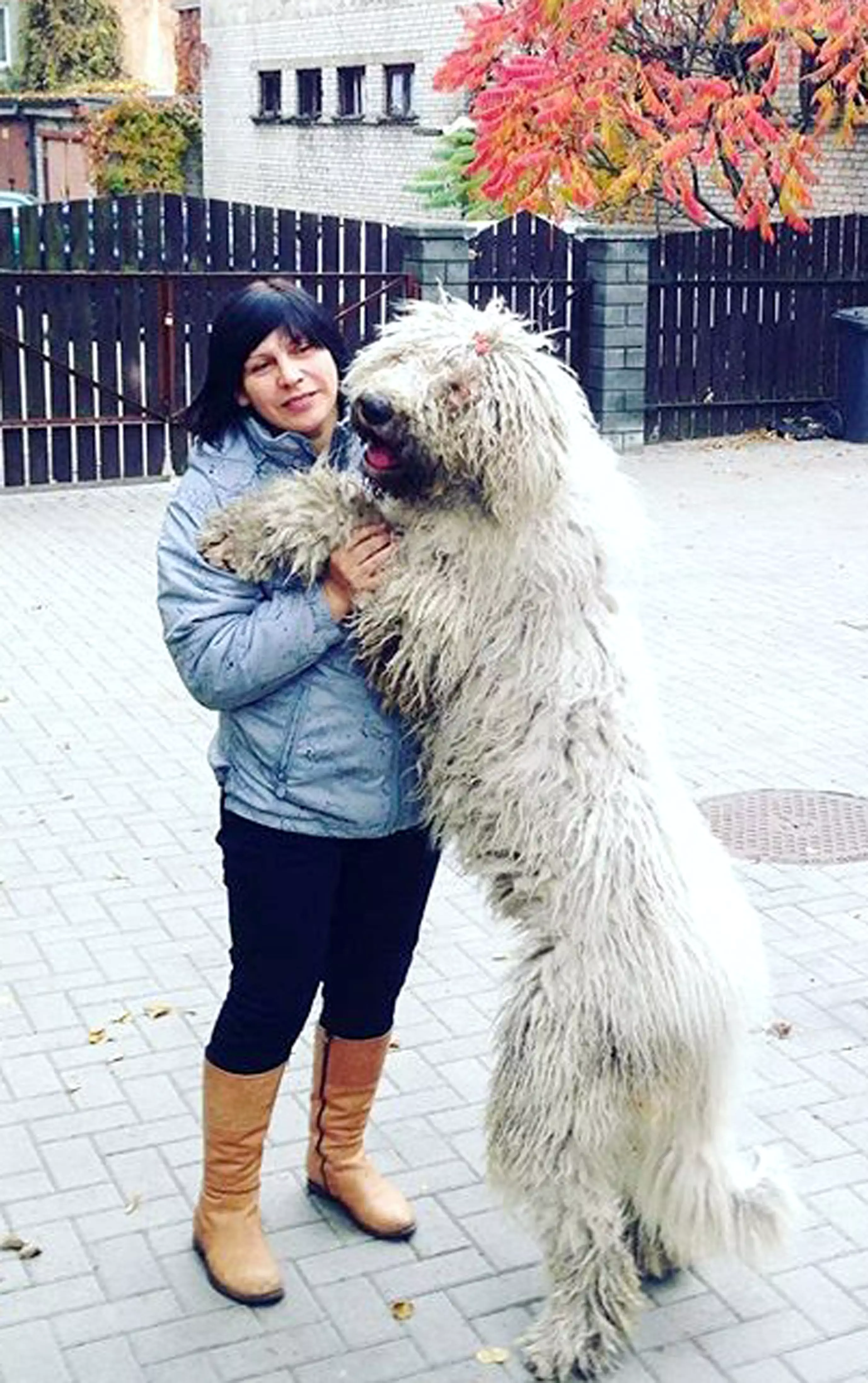 Hanga with her owner Gintare Lietuva (