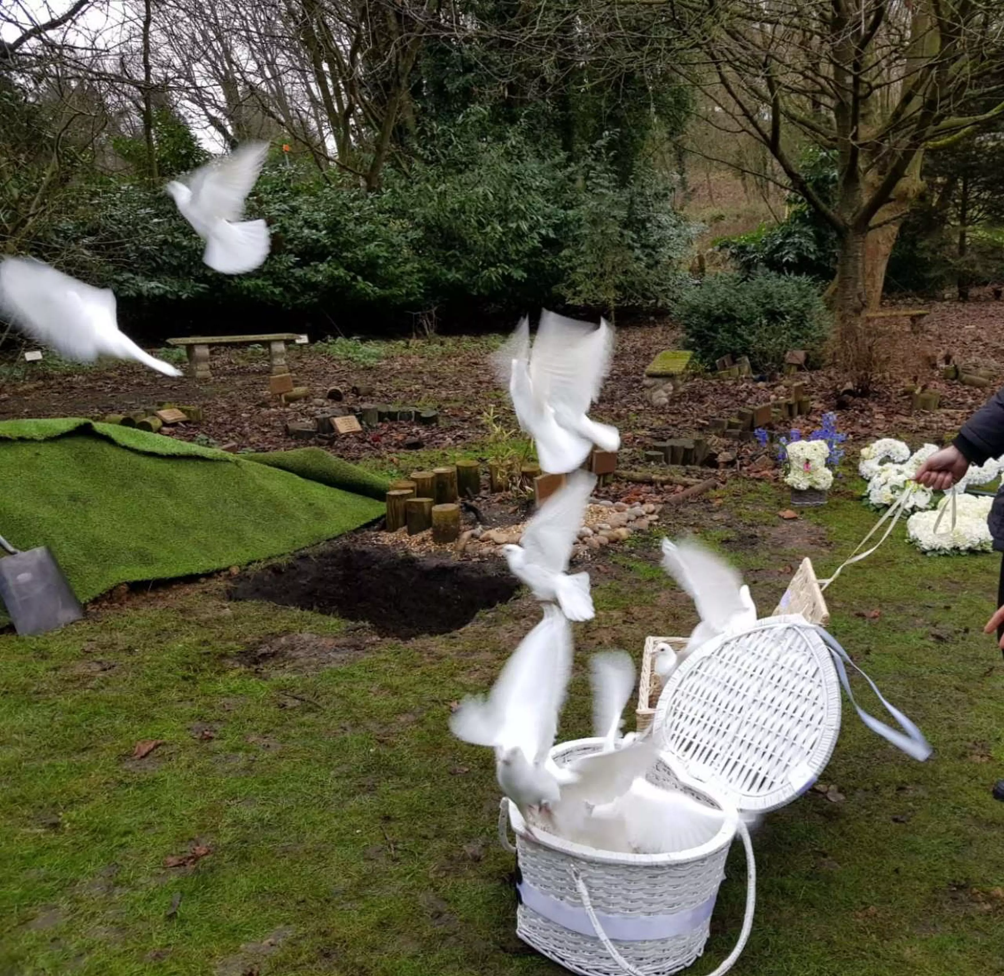 Some of the doves released at Captain's graveside.