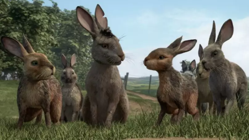 Viewers claimed that the rabbits looked more like hares. (