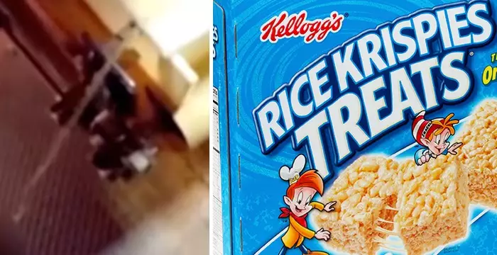Kellogg's Admit Video Showing Worker Urinating On Conveyor Belt Is Real
