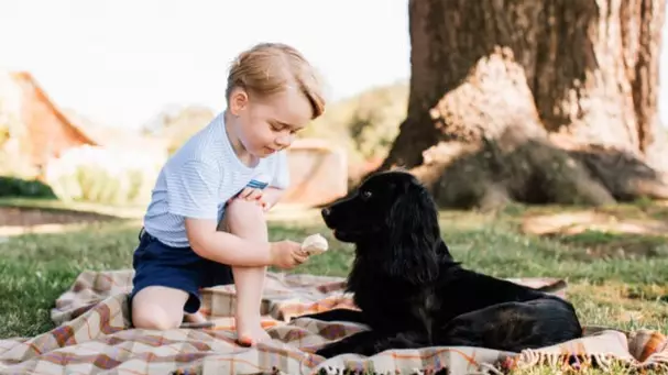 Prince William And Kate Pay Tribute As 'Heart Of The Family' Dog Lupo Dies