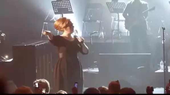 Video Shows Adele Stopping Gig After One Of Her Fans Fainted