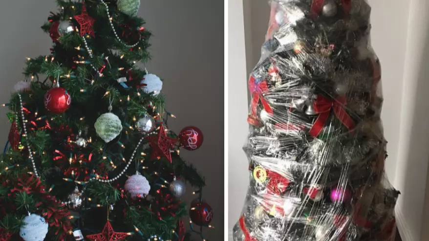 Woman Shares 'Genius' Cling Film Hack To Take Christmas Tree Down Quickly