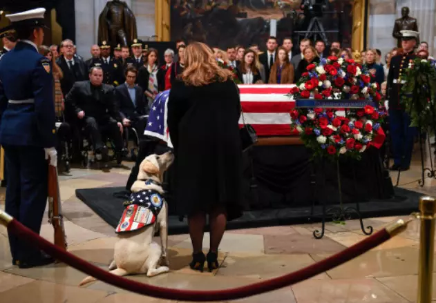 George HW Bush's Service Dog Sully Pays Respects To The Late President.