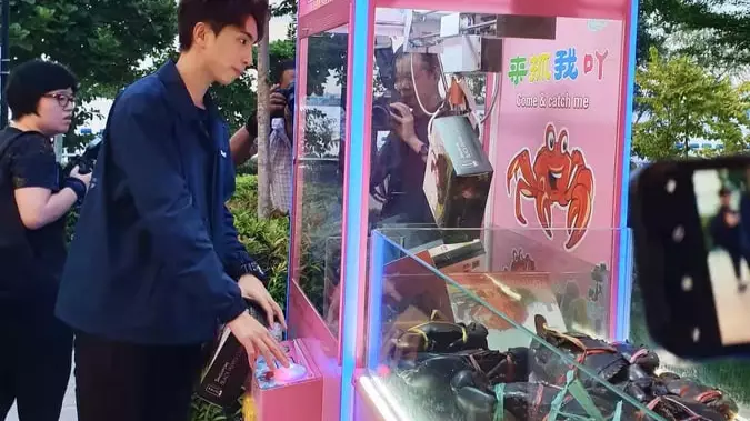 Grab-A-Crab Machine Slammed By Animal Rights Groups