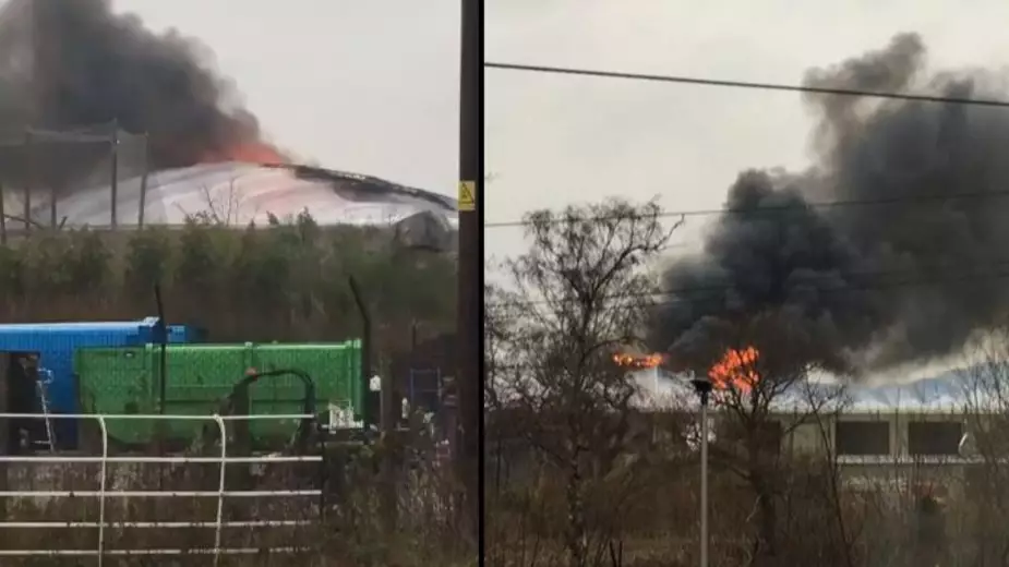 All Animals Safe And Accounted For After Chester Zoo Blaze, Fire Service Confirms