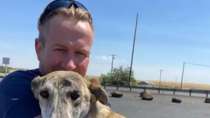 Ex-Marine's Staff Left Behind As He's Evacuated From Kabul With Cats And Dogs