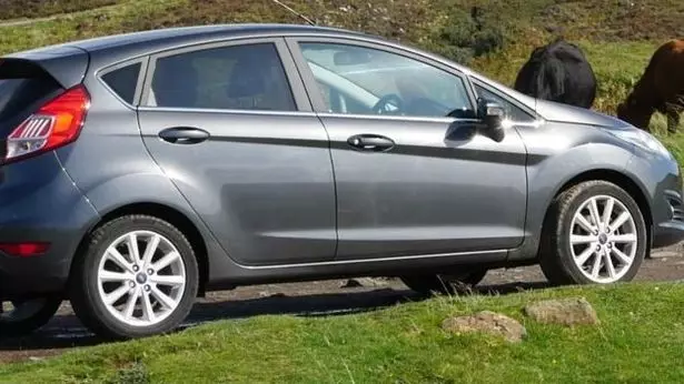 The stolen grey Ford Fiesta the man fled the scene in.