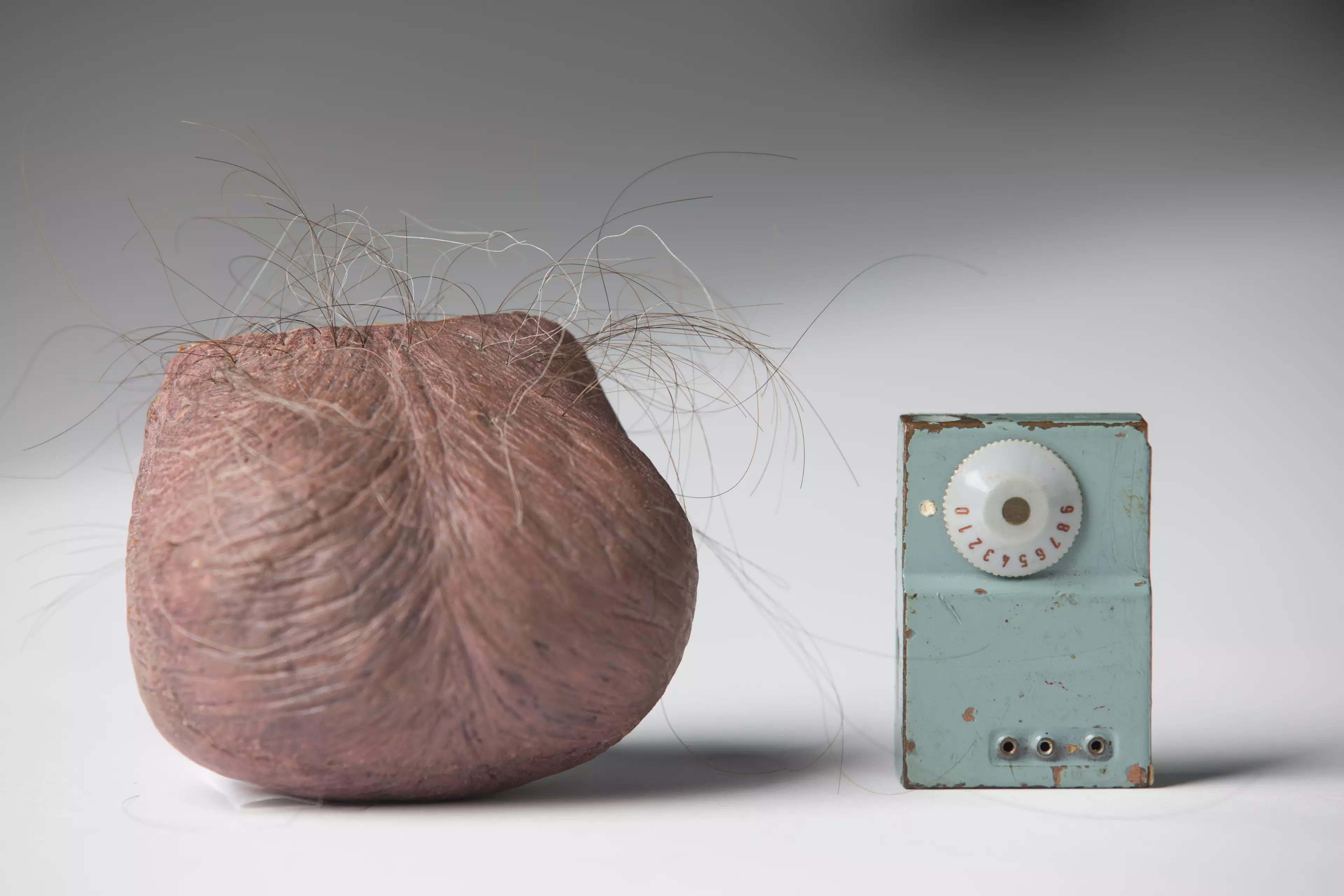 The CIA developed this fake scrotum to conceal an escape radio.