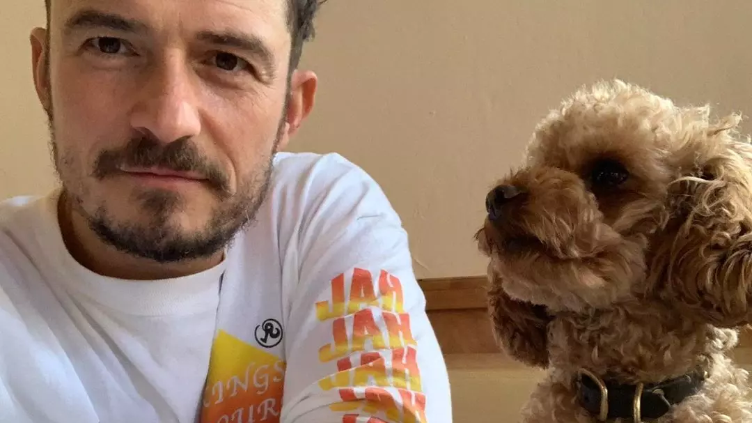 Orlando Bloom Confirms His Missing Dog Mighty Has Died As He Reveals Tattoo Tribute