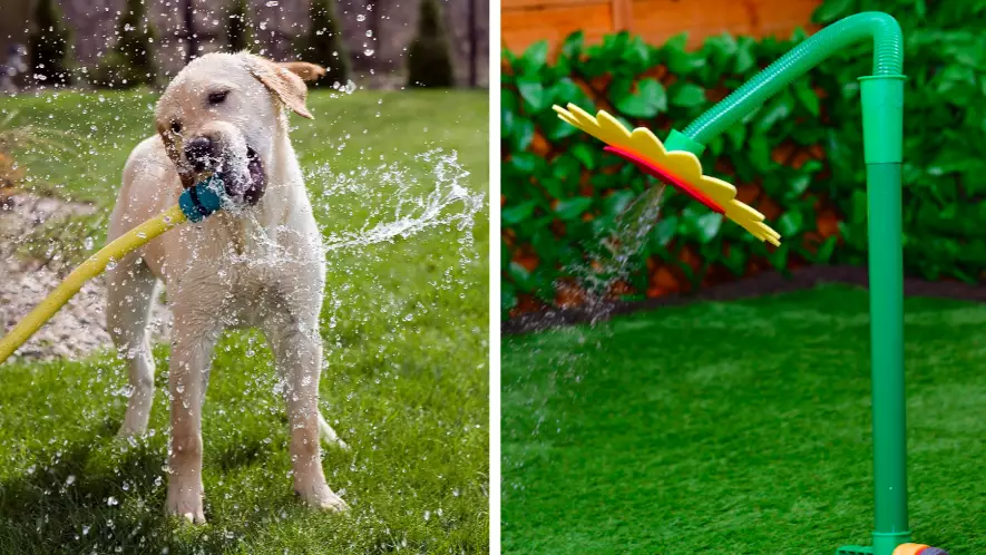 Dog Owners Love This Sunflower Hose Attachment For Their Pooch