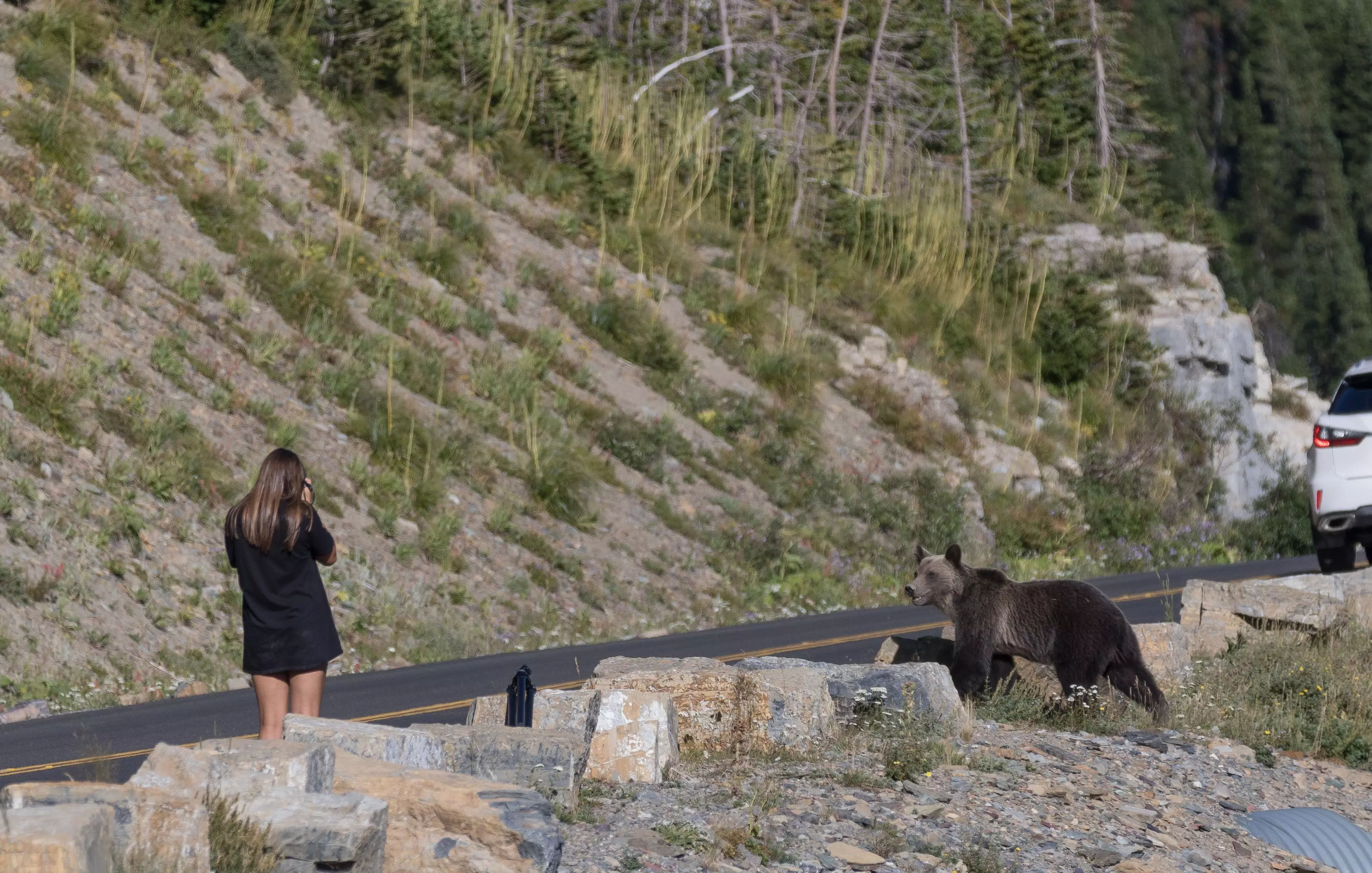 The encounter happened in Glacier National Park, Montana, last August.