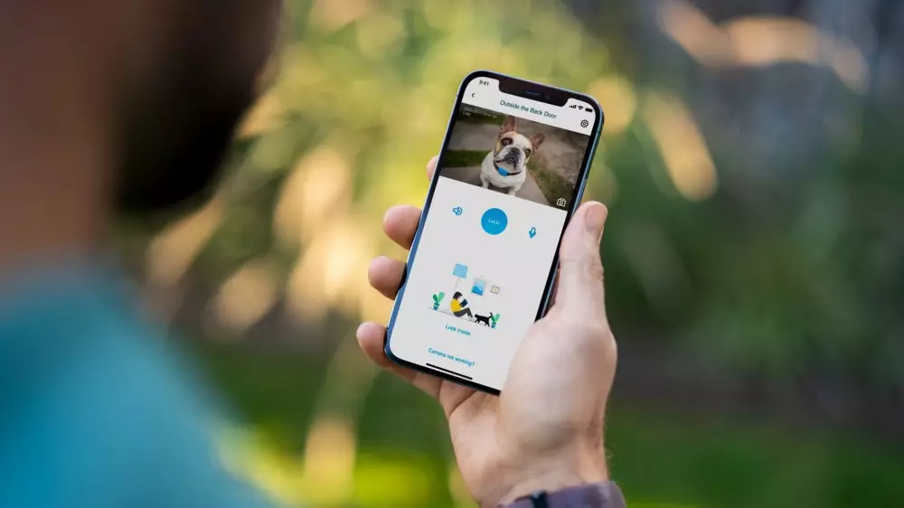 You can check on your pet when you're out and about (