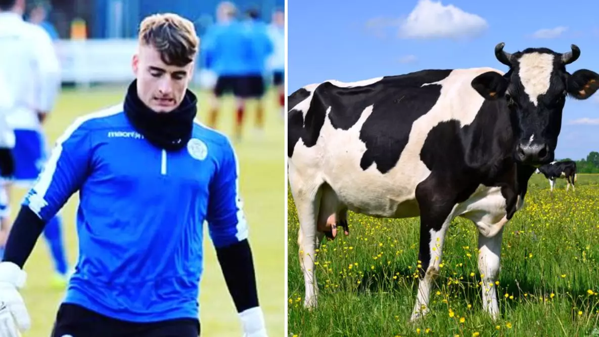 Queen Of The South In Goalkeeper Crisis After Reserve Is Injured By A Cow