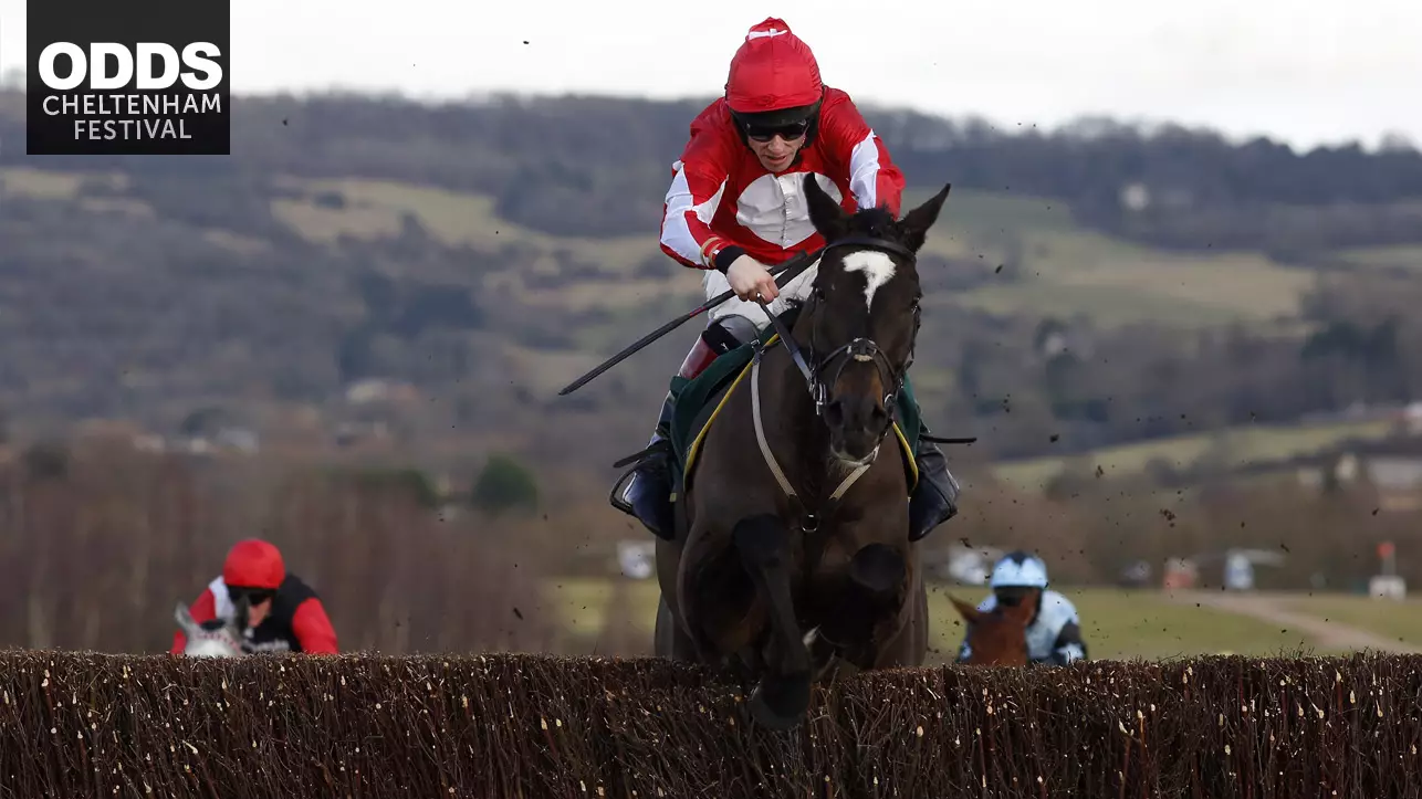 Cheltenham Festival: ODDSbibleRacing's Best Bets For Day One Of The Action