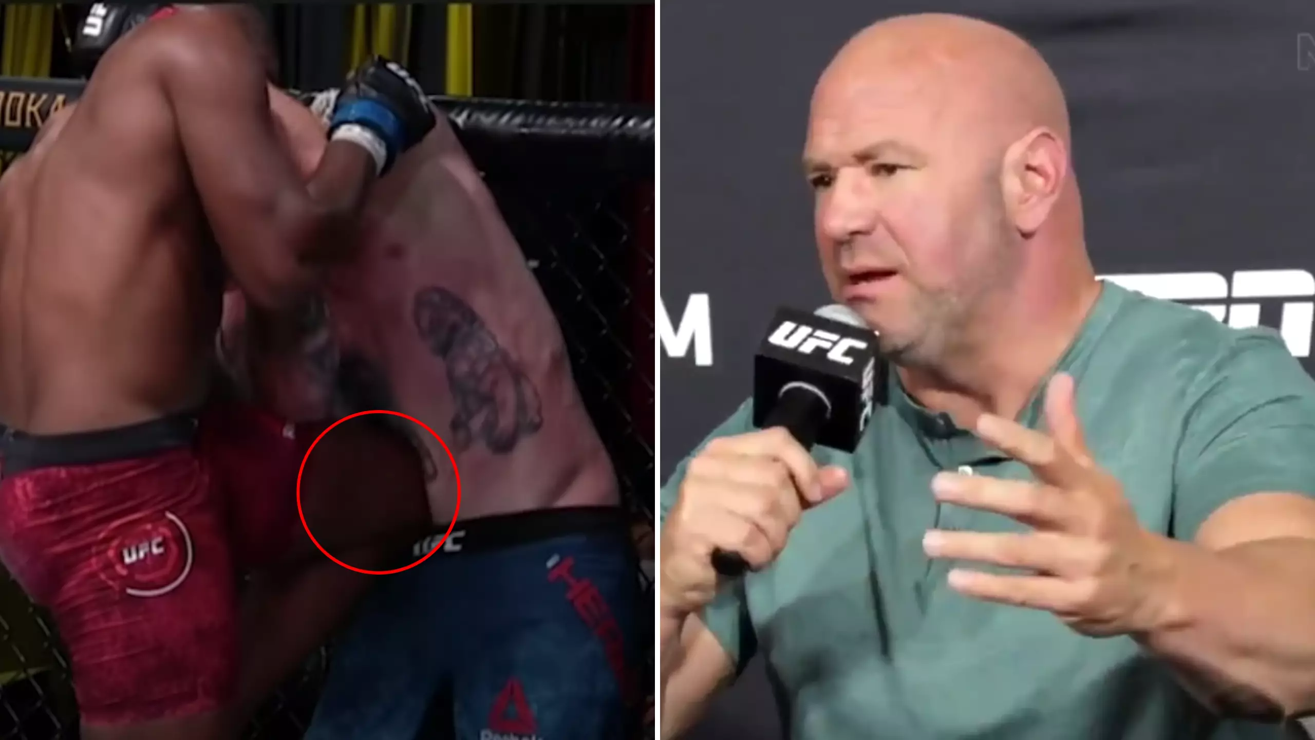 Dana White Labels UFC Referee Decision 'One Of The Most Disgusting Things’ He's Ever Seen