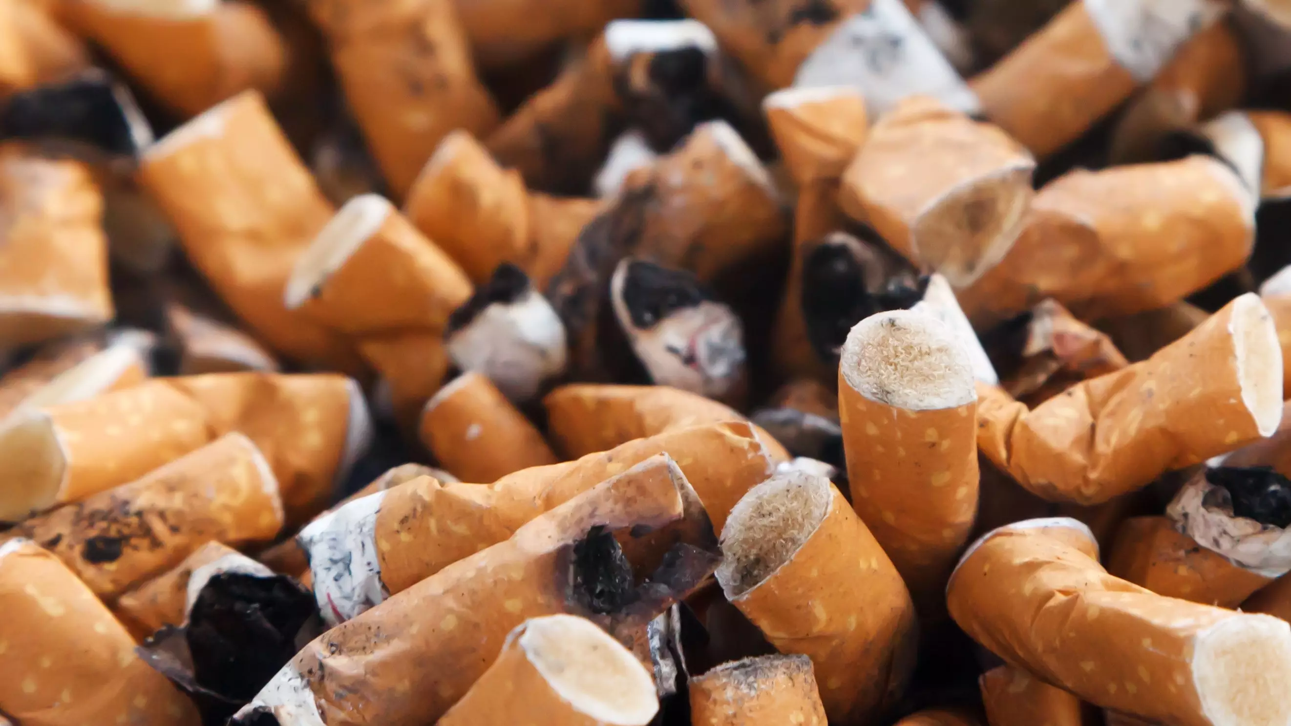 Leaked Government Plans Suggest Smoking Could Be Wiped Out In England In Just 11 Years