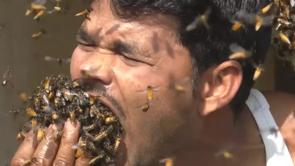 Indian Honey Collector Stuffs Bees In His Mouth For No Reason