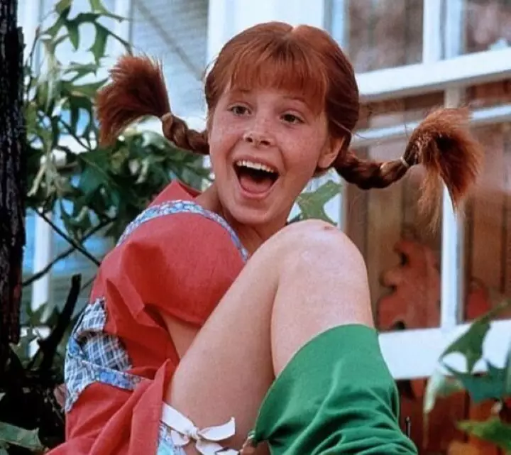 The last live-action film based on the book series was in 1988 and called 'The New Adventures of Pippi Longstocking'. (