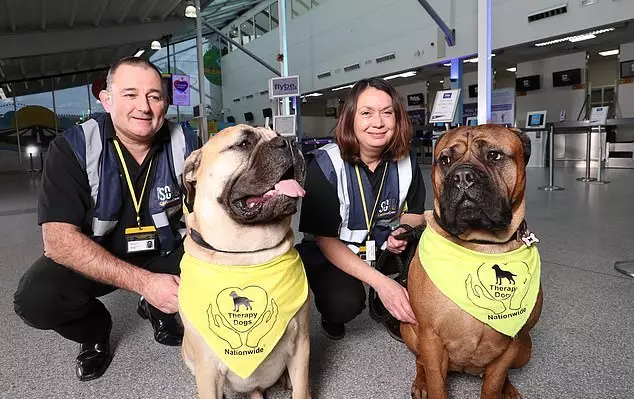 The measure could see similar Canine Crews rolled out at airports across the country (