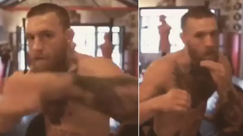 What It Would Be Like If You Went Face To Face Against Conor McGregor