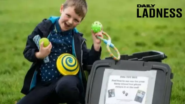 Boy, Six, Comes Up With Genius Dog Toyboxes For Walkers In Parks