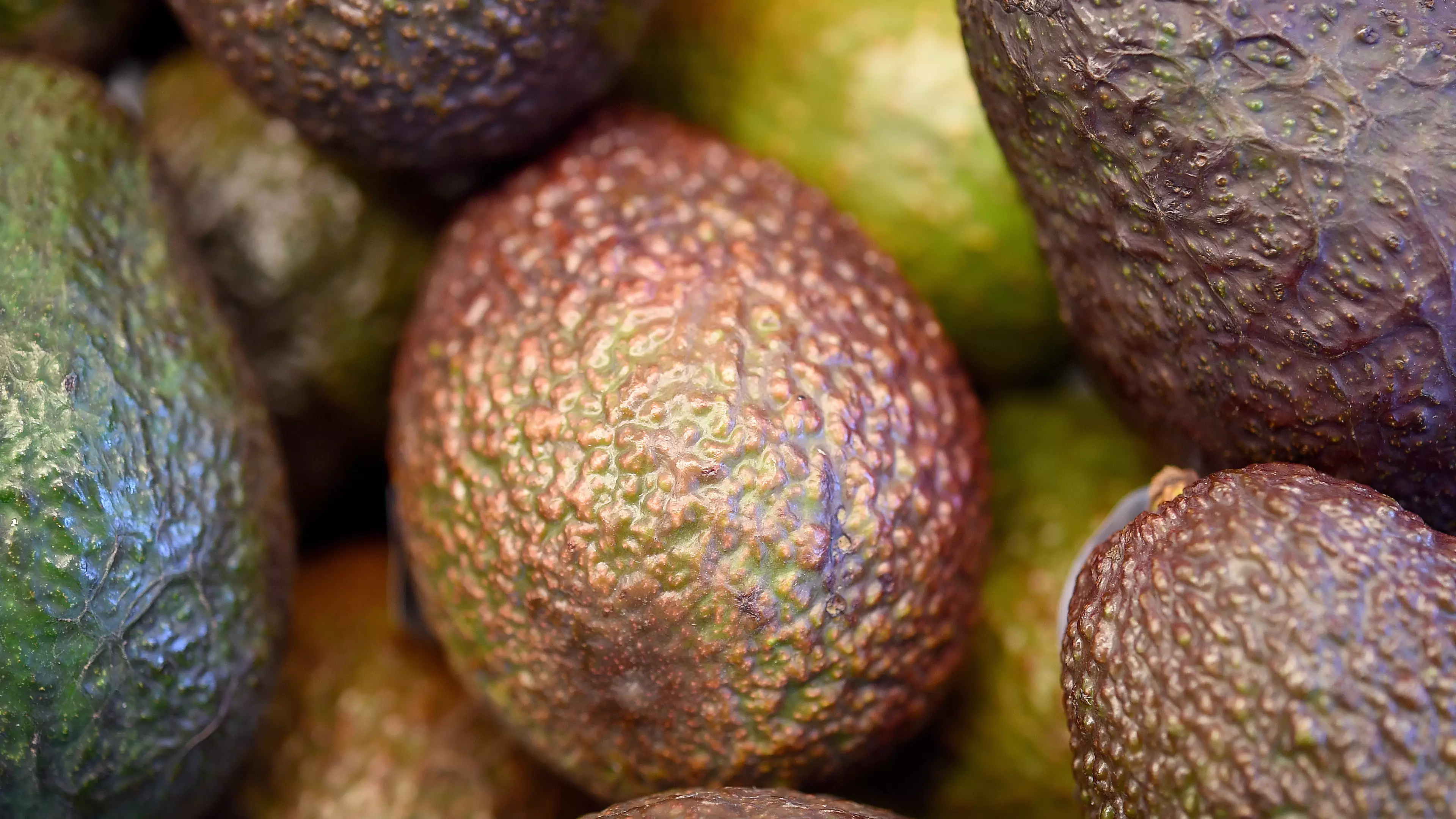 Holy Guacamole: Avocado Prices In New Zealand Hit $10 A Piece