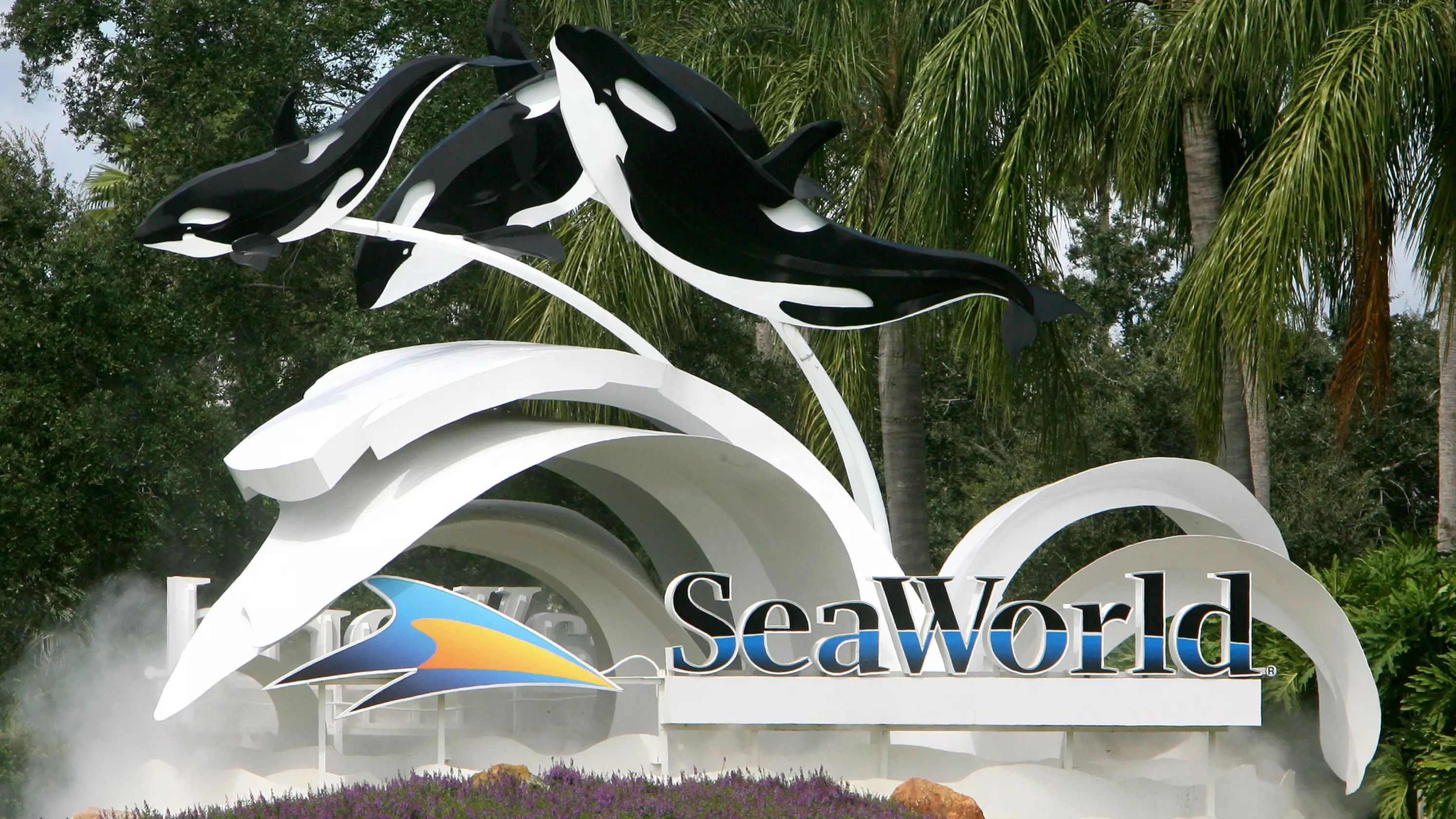 Thomas Cook To Stop Selling Tickets To SeaWorld Over Animal Welfare Concerns