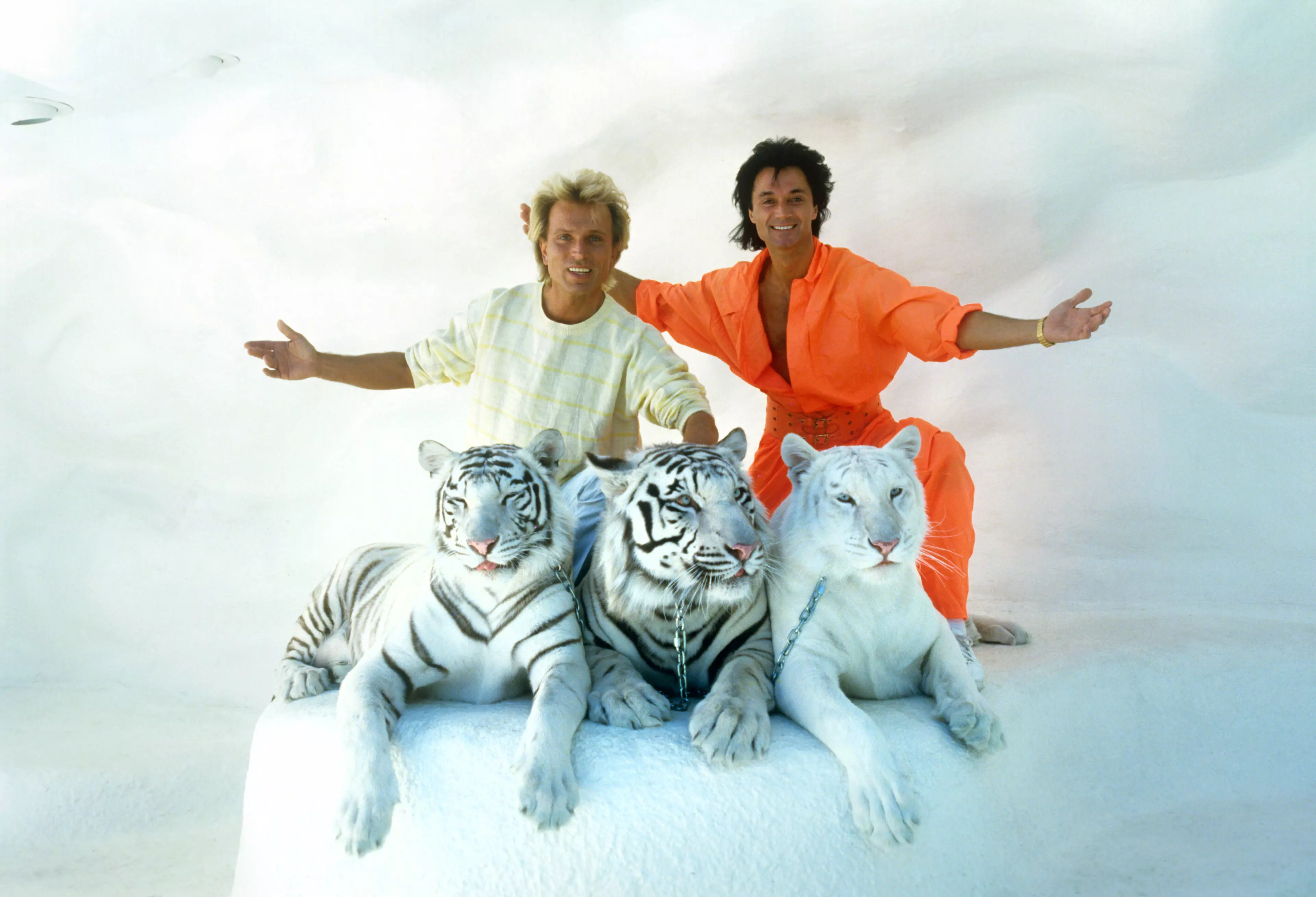 Tiger King Creators Reportedly Working On Follow-Up About Siegfried And Roy