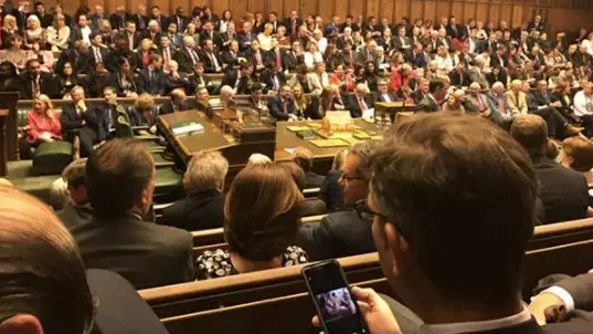MP Decides New Parliament Is Less Interesting Than His Phone