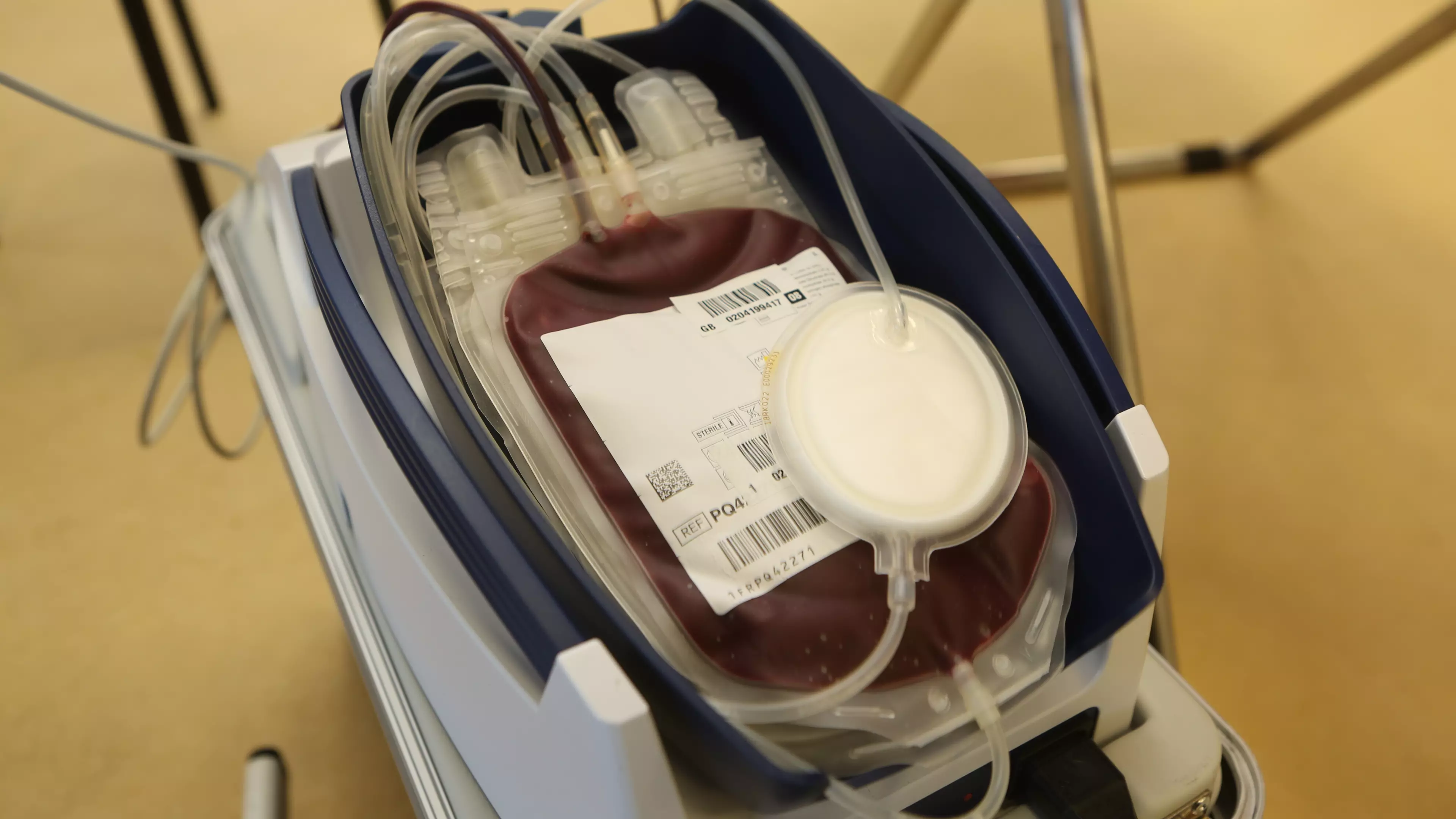 Australians Need To Keep Donating Blood During Coronavirus Pandemic