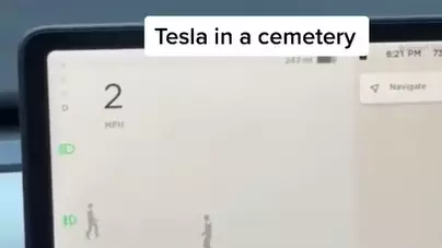 Tesla Driver Spots 'Ghosts' While Driving Car Through Cemetery
