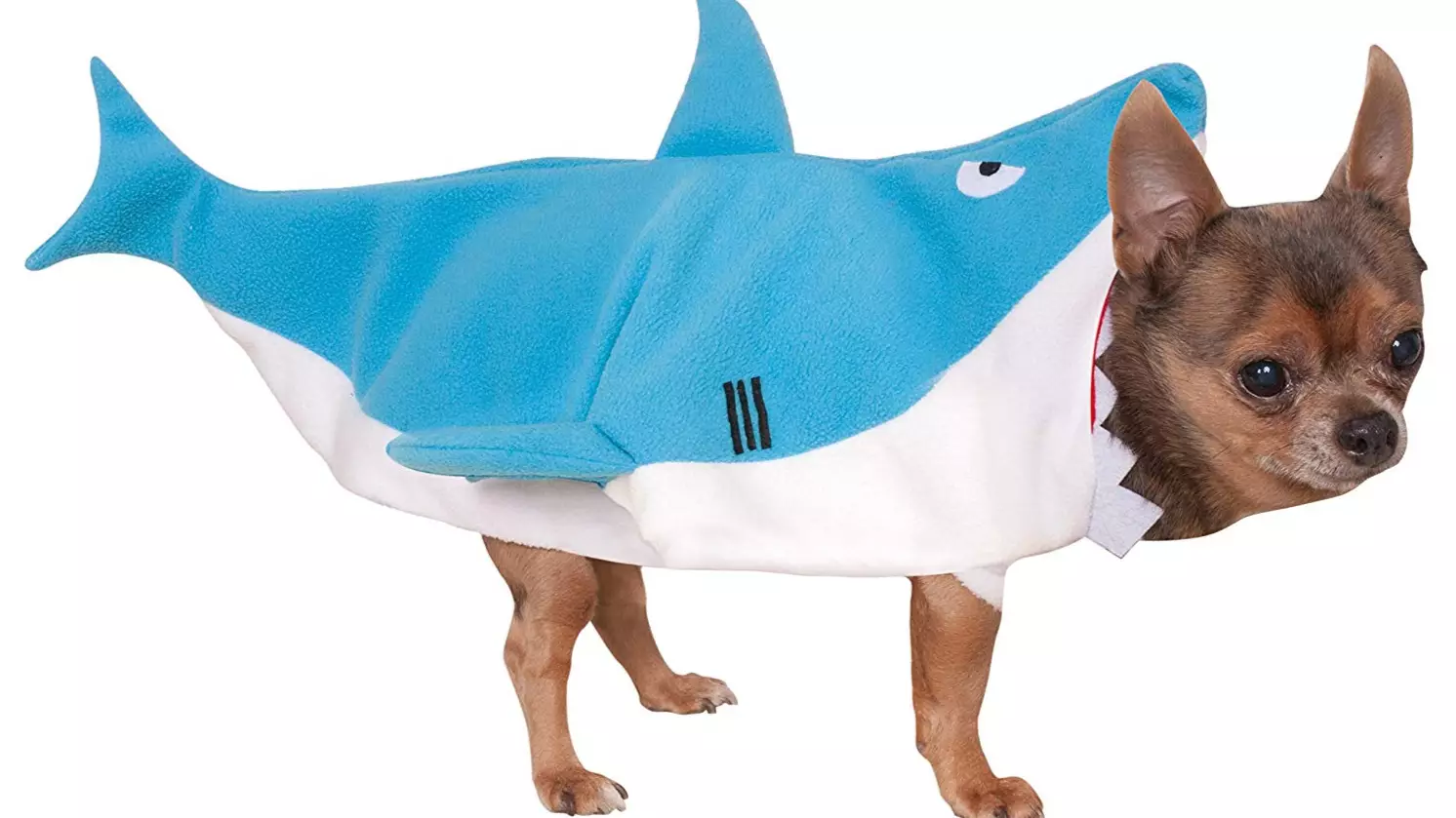 This Costume Will Turn Your Dog Into Your Very Own 'Baby Shark'