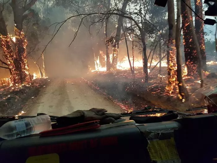 Cudlee Creek Bushfire.