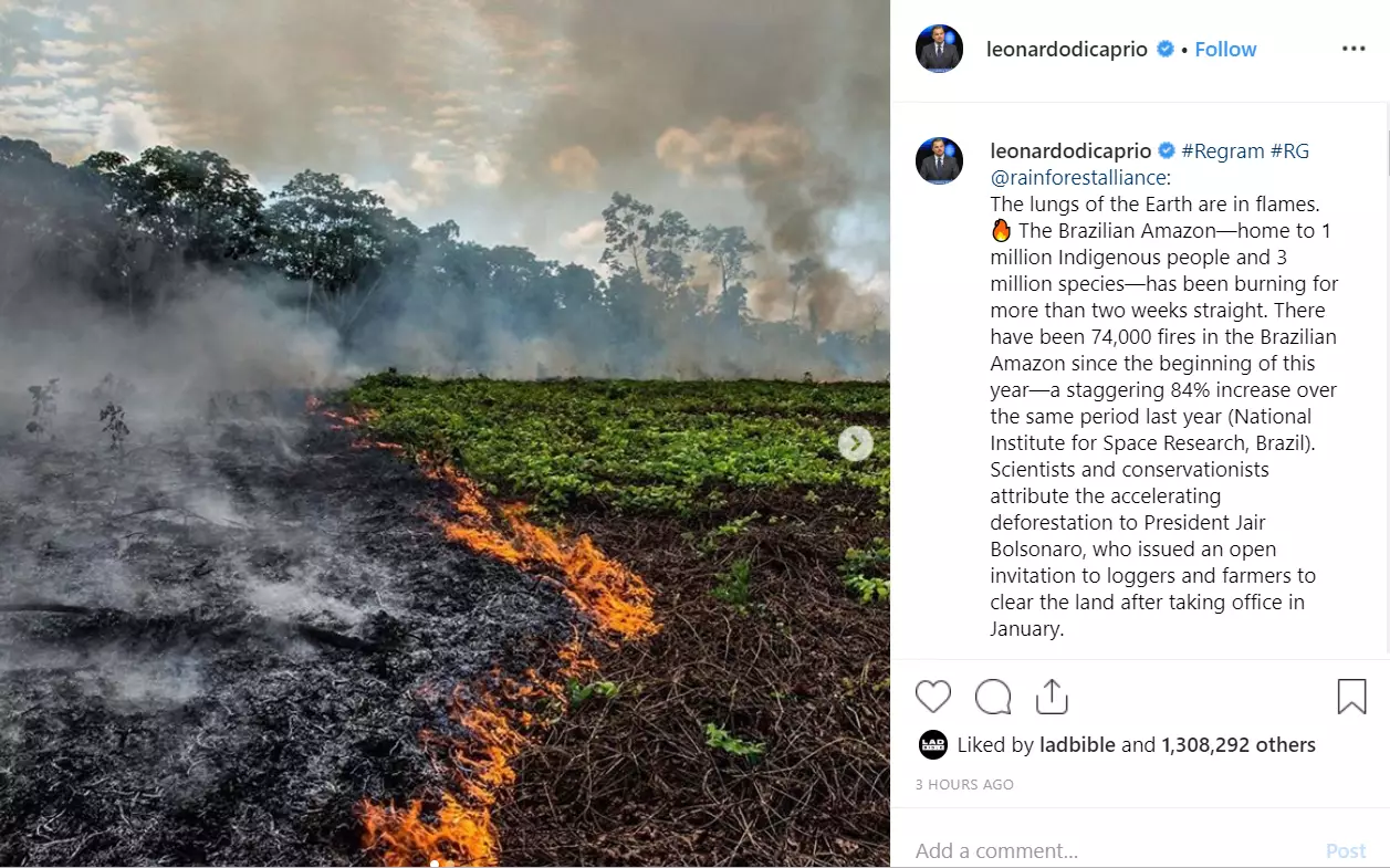 Leonardo DiCaprio shared a post from the Rainforest Alliance about the devastating Amazon wildfires.