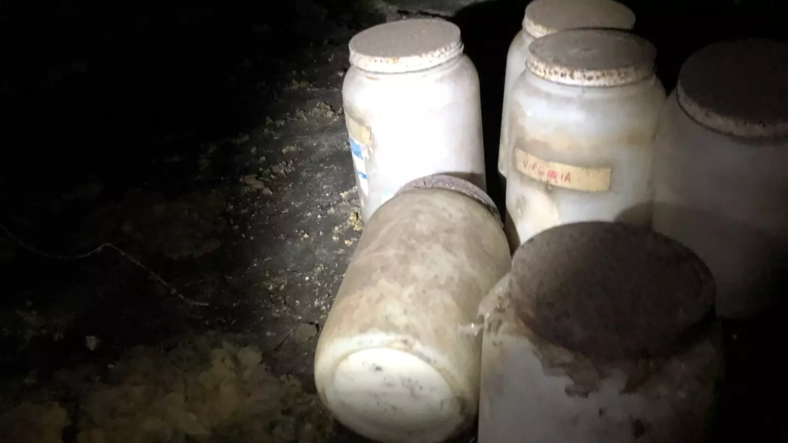 Jars Of Human Tongues Found Under Home In Florida