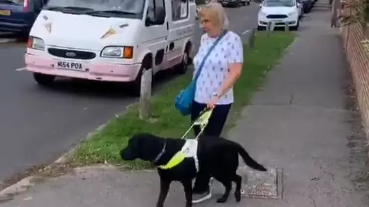 How To Tell If Someone With A Guide Dog Needs Some Help