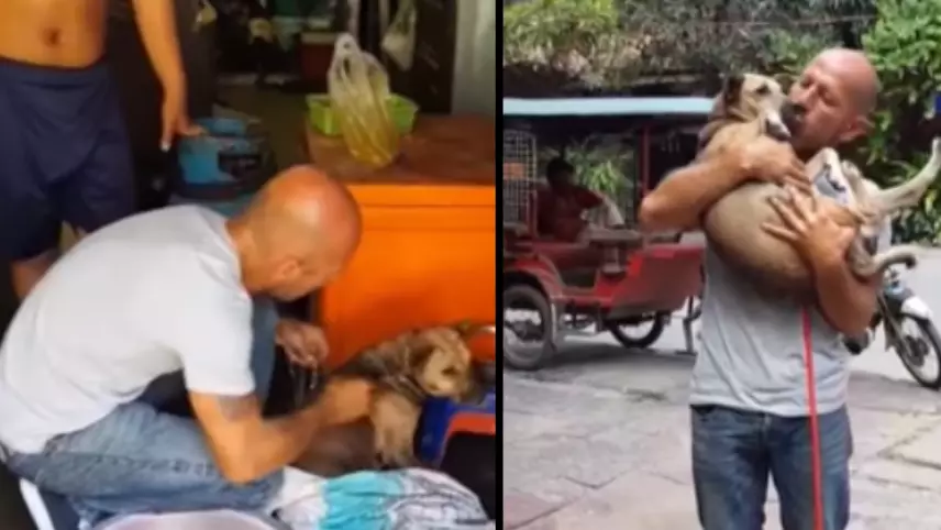 Dog Narrowly Escapes Death After Man Rescues Her From A Slaughterhouse