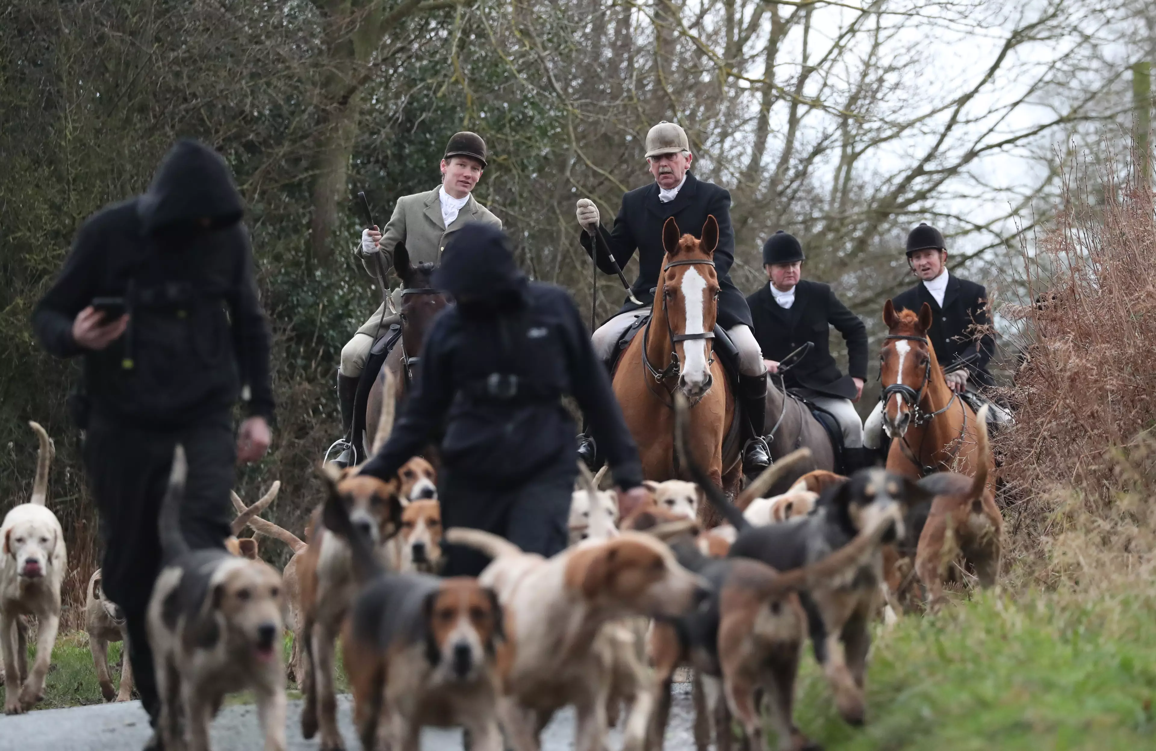 Anti-hunting groups are calling for information on the killing [STOCK IMAGE] (