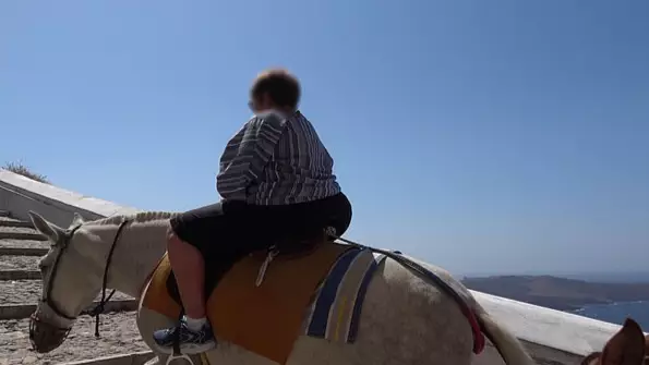 Distressing Images Show Greek Donkeys Forced To Carry Obese Tourists Uphill