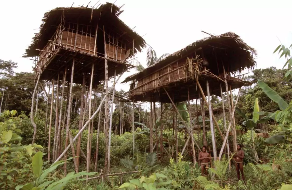 Cannibal Tribe Treehouses